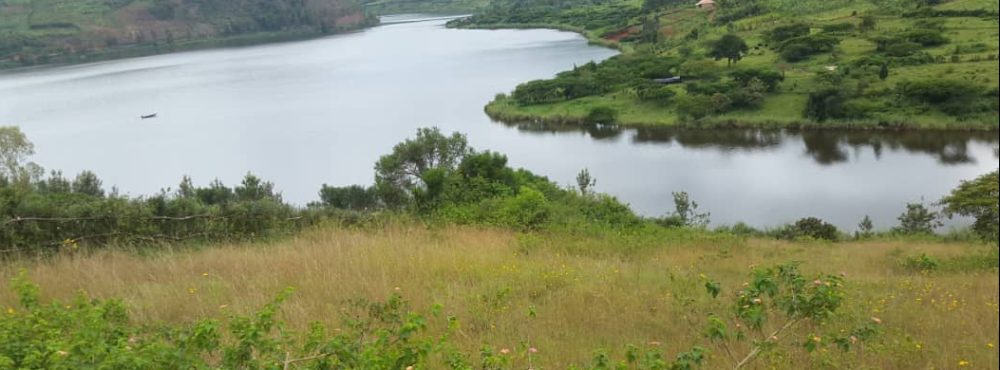 jeanbaptiste.ndayisaba
